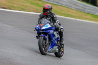 Oulton-Park-17-Aug-2018;PJ-Motorsport-Photography-2018;anglesey;brands-hatch;cadwell-park;croft;donington-park;enduro-digital-images;event-digital-images;eventdigitalimages;mallory;no-limits;oulton-park;peter-wileman-photography;racing-digital-images;silverstone;snetterton;trackday-digital-images;trackday-photos;vmcc-banbury-run;welsh-2-day-enduro
