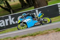 Oulton-Park-17-Aug-2018;PJ-Motorsport-Photography-2018;anglesey;brands-hatch;cadwell-park;croft;donington-park;enduro-digital-images;event-digital-images;eventdigitalimages;mallory;no-limits;oulton-park;peter-wileman-photography;racing-digital-images;silverstone;snetterton;trackday-digital-images;trackday-photos;vmcc-banbury-run;welsh-2-day-enduro