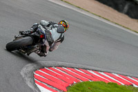 Oulton-Park-17-Aug-2018;PJ-Motorsport-Photography-2018;anglesey;brands-hatch;cadwell-park;croft;donington-park;enduro-digital-images;event-digital-images;eventdigitalimages;mallory;no-limits;oulton-park;peter-wileman-photography;racing-digital-images;silverstone;snetterton;trackday-digital-images;trackday-photos;vmcc-banbury-run;welsh-2-day-enduro