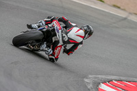Oulton-Park-17-Aug-2018;PJ-Motorsport-Photography-2018;anglesey;brands-hatch;cadwell-park;croft;donington-park;enduro-digital-images;event-digital-images;eventdigitalimages;mallory;no-limits;oulton-park;peter-wileman-photography;racing-digital-images;silverstone;snetterton;trackday-digital-images;trackday-photos;vmcc-banbury-run;welsh-2-day-enduro