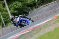 Oulton-Park-17-Aug-2018;PJ-Motorsport-Photography-2018;anglesey;brands-hatch;cadwell-park;croft;donington-park;enduro-digital-images;event-digital-images;eventdigitalimages;mallory;no-limits;oulton-park;peter-wileman-photography;racing-digital-images;silverstone;snetterton;trackday-digital-images;trackday-photos;vmcc-banbury-run;welsh-2-day-enduro