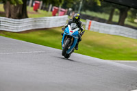 Oulton-Park-17-Aug-2018;PJ-Motorsport-Photography-2018;anglesey;brands-hatch;cadwell-park;croft;donington-park;enduro-digital-images;event-digital-images;eventdigitalimages;mallory;no-limits;oulton-park;peter-wileman-photography;racing-digital-images;silverstone;snetterton;trackday-digital-images;trackday-photos;vmcc-banbury-run;welsh-2-day-enduro
