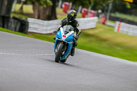 Oulton-Park-17-Aug-2018;PJ-Motorsport-Photography-2018;anglesey;brands-hatch;cadwell-park;croft;donington-park;enduro-digital-images;event-digital-images;eventdigitalimages;mallory;no-limits;oulton-park;peter-wileman-photography;racing-digital-images;silverstone;snetterton;trackday-digital-images;trackday-photos;vmcc-banbury-run;welsh-2-day-enduro