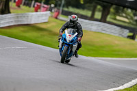 Oulton-Park-17-Aug-2018;PJ-Motorsport-Photography-2018;anglesey;brands-hatch;cadwell-park;croft;donington-park;enduro-digital-images;event-digital-images;eventdigitalimages;mallory;no-limits;oulton-park;peter-wileman-photography;racing-digital-images;silverstone;snetterton;trackday-digital-images;trackday-photos;vmcc-banbury-run;welsh-2-day-enduro