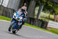 Oulton-Park-17-Aug-2018;PJ-Motorsport-Photography-2018;anglesey;brands-hatch;cadwell-park;croft;donington-park;enduro-digital-images;event-digital-images;eventdigitalimages;mallory;no-limits;oulton-park;peter-wileman-photography;racing-digital-images;silverstone;snetterton;trackday-digital-images;trackday-photos;vmcc-banbury-run;welsh-2-day-enduro
