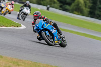 Oulton-Park-17-Aug-2018;PJ-Motorsport-Photography-2018;anglesey;brands-hatch;cadwell-park;croft;donington-park;enduro-digital-images;event-digital-images;eventdigitalimages;mallory;no-limits;oulton-park;peter-wileman-photography;racing-digital-images;silverstone;snetterton;trackday-digital-images;trackday-photos;vmcc-banbury-run;welsh-2-day-enduro