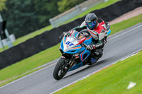 Oulton-Park-17-Aug-2018;PJ-Motorsport-Photography-2018;anglesey;brands-hatch;cadwell-park;croft;donington-park;enduro-digital-images;event-digital-images;eventdigitalimages;mallory;no-limits;oulton-park;peter-wileman-photography;racing-digital-images;silverstone;snetterton;trackday-digital-images;trackday-photos;vmcc-banbury-run;welsh-2-day-enduro