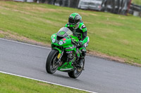 Oulton-Park-17-Aug-2018;PJ-Motorsport-Photography-2018;anglesey;brands-hatch;cadwell-park;croft;donington-park;enduro-digital-images;event-digital-images;eventdigitalimages;mallory;no-limits;oulton-park;peter-wileman-photography;racing-digital-images;silverstone;snetterton;trackday-digital-images;trackday-photos;vmcc-banbury-run;welsh-2-day-enduro