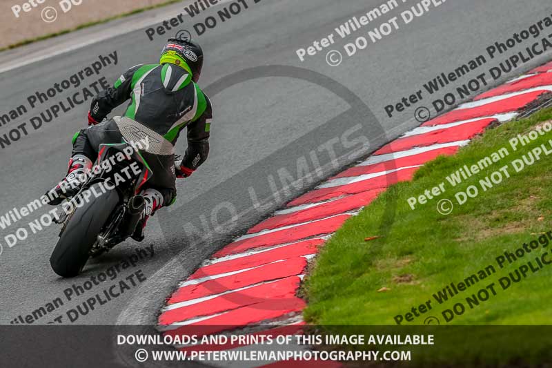 Oulton Park 17 Aug 2018;PJ Motorsport Photography 2018;anglesey;brands hatch;cadwell park;croft;donington park;enduro digital images;event digital images;eventdigitalimages;mallory;no limits;oulton park;peter wileman photography;racing digital images;silverstone;snetterton;trackday digital images;trackday photos;vmcc banbury run;welsh 2 day enduro