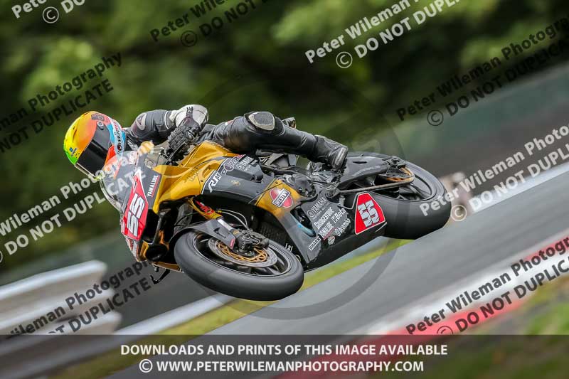 Oulton Park 17 Aug 2018;PJ Motorsport Photography 2018;anglesey;brands hatch;cadwell park;croft;donington park;enduro digital images;event digital images;eventdigitalimages;mallory;no limits;oulton park;peter wileman photography;racing digital images;silverstone;snetterton;trackday digital images;trackday photos;vmcc banbury run;welsh 2 day enduro