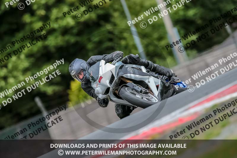Oulton Park 17 Aug 2018;PJ Motorsport Photography 2018;anglesey;brands hatch;cadwell park;croft;donington park;enduro digital images;event digital images;eventdigitalimages;mallory;no limits;oulton park;peter wileman photography;racing digital images;silverstone;snetterton;trackday digital images;trackday photos;vmcc banbury run;welsh 2 day enduro