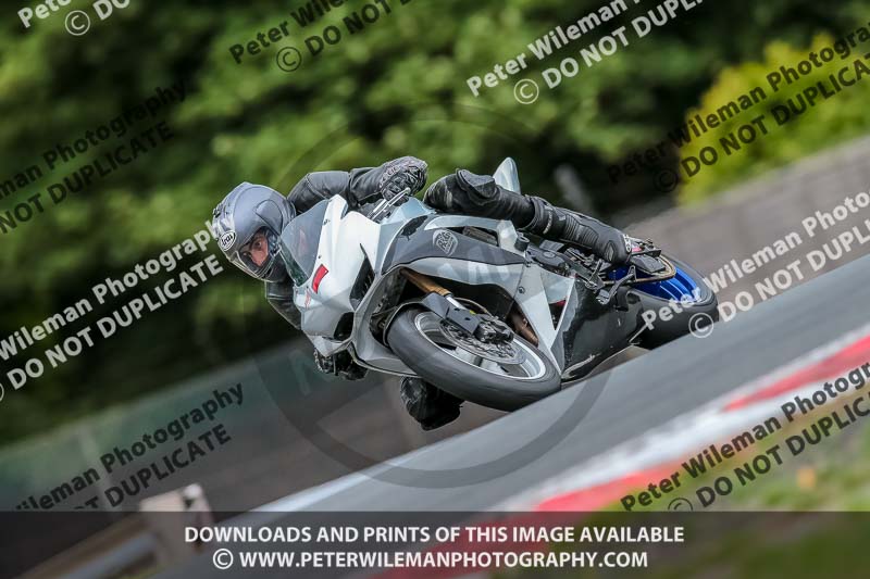 Oulton Park 17 Aug 2018;PJ Motorsport Photography 2018;anglesey;brands hatch;cadwell park;croft;donington park;enduro digital images;event digital images;eventdigitalimages;mallory;no limits;oulton park;peter wileman photography;racing digital images;silverstone;snetterton;trackday digital images;trackday photos;vmcc banbury run;welsh 2 day enduro