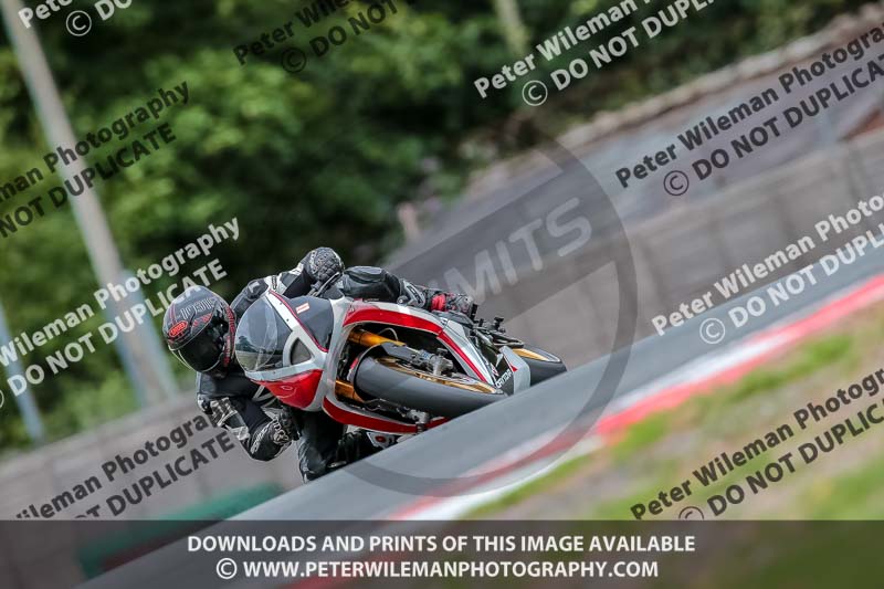 Oulton Park 17 Aug 2018;PJ Motorsport Photography 2018;anglesey;brands hatch;cadwell park;croft;donington park;enduro digital images;event digital images;eventdigitalimages;mallory;no limits;oulton park;peter wileman photography;racing digital images;silverstone;snetterton;trackday digital images;trackday photos;vmcc banbury run;welsh 2 day enduro