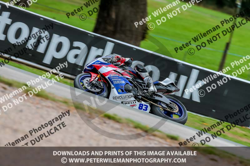 Oulton Park 17 Aug 2018;PJ Motorsport Photography 2018;anglesey;brands hatch;cadwell park;croft;donington park;enduro digital images;event digital images;eventdigitalimages;mallory;no limits;oulton park;peter wileman photography;racing digital images;silverstone;snetterton;trackday digital images;trackday photos;vmcc banbury run;welsh 2 day enduro
