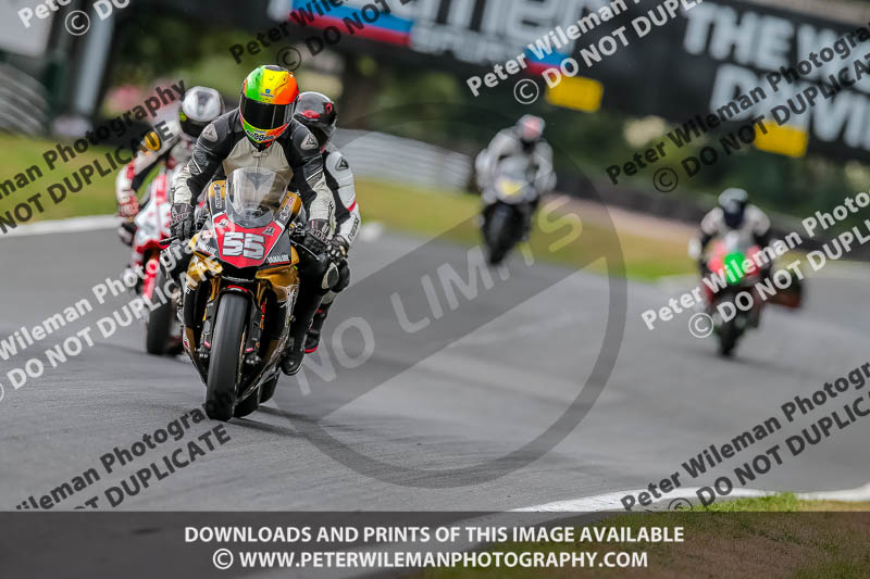 Oulton Park 17 Aug 2018;PJ Motorsport Photography 2018;anglesey;brands hatch;cadwell park;croft;donington park;enduro digital images;event digital images;eventdigitalimages;mallory;no limits;oulton park;peter wileman photography;racing digital images;silverstone;snetterton;trackday digital images;trackday photos;vmcc banbury run;welsh 2 day enduro