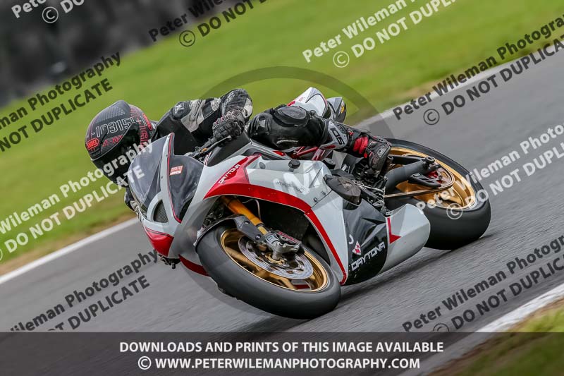 Oulton Park 17 Aug 2018;PJ Motorsport Photography 2018;anglesey;brands hatch;cadwell park;croft;donington park;enduro digital images;event digital images;eventdigitalimages;mallory;no limits;oulton park;peter wileman photography;racing digital images;silverstone;snetterton;trackday digital images;trackday photos;vmcc banbury run;welsh 2 day enduro