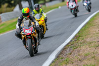 Oulton-Park-17-Aug-2018;PJ-Motorsport-Photography-2018;anglesey;brands-hatch;cadwell-park;croft;donington-park;enduro-digital-images;event-digital-images;eventdigitalimages;mallory;no-limits;oulton-park;peter-wileman-photography;racing-digital-images;silverstone;snetterton;trackday-digital-images;trackday-photos;vmcc-banbury-run;welsh-2-day-enduro