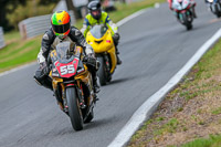Oulton-Park-17-Aug-2018;PJ-Motorsport-Photography-2018;anglesey;brands-hatch;cadwell-park;croft;donington-park;enduro-digital-images;event-digital-images;eventdigitalimages;mallory;no-limits;oulton-park;peter-wileman-photography;racing-digital-images;silverstone;snetterton;trackday-digital-images;trackday-photos;vmcc-banbury-run;welsh-2-day-enduro