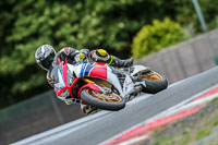 Oulton-Park-17-Aug-2018;PJ-Motorsport-Photography-2018;anglesey;brands-hatch;cadwell-park;croft;donington-park;enduro-digital-images;event-digital-images;eventdigitalimages;mallory;no-limits;oulton-park;peter-wileman-photography;racing-digital-images;silverstone;snetterton;trackday-digital-images;trackday-photos;vmcc-banbury-run;welsh-2-day-enduro