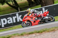 Oulton-Park-17-Aug-2018;PJ-Motorsport-Photography-2018;anglesey;brands-hatch;cadwell-park;croft;donington-park;enduro-digital-images;event-digital-images;eventdigitalimages;mallory;no-limits;oulton-park;peter-wileman-photography;racing-digital-images;silverstone;snetterton;trackday-digital-images;trackday-photos;vmcc-banbury-run;welsh-2-day-enduro