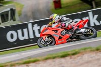 Oulton-Park-17-Aug-2018;PJ-Motorsport-Photography-2018;anglesey;brands-hatch;cadwell-park;croft;donington-park;enduro-digital-images;event-digital-images;eventdigitalimages;mallory;no-limits;oulton-park;peter-wileman-photography;racing-digital-images;silverstone;snetterton;trackday-digital-images;trackday-photos;vmcc-banbury-run;welsh-2-day-enduro