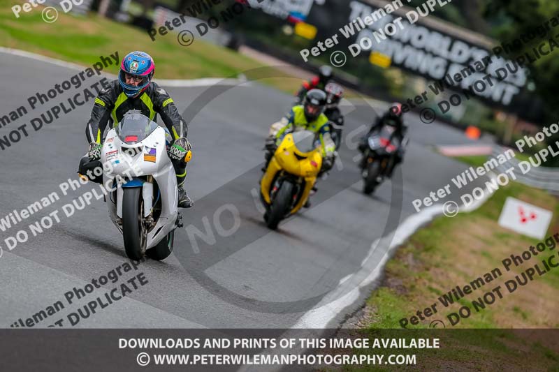 Oulton Park 17 Aug 2018;PJ Motorsport Photography 2018;anglesey;brands hatch;cadwell park;croft;donington park;enduro digital images;event digital images;eventdigitalimages;mallory;no limits;oulton park;peter wileman photography;racing digital images;silverstone;snetterton;trackday digital images;trackday photos;vmcc banbury run;welsh 2 day enduro