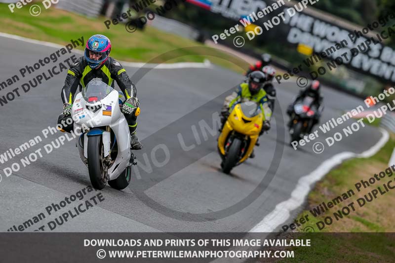 Oulton Park 17 Aug 2018;PJ Motorsport Photography 2018;anglesey;brands hatch;cadwell park;croft;donington park;enduro digital images;event digital images;eventdigitalimages;mallory;no limits;oulton park;peter wileman photography;racing digital images;silverstone;snetterton;trackday digital images;trackday photos;vmcc banbury run;welsh 2 day enduro