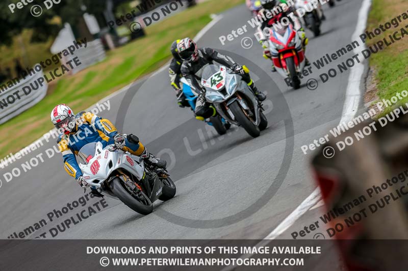 Oulton Park 17 Aug 2018;PJ Motorsport Photography 2018;anglesey;brands hatch;cadwell park;croft;donington park;enduro digital images;event digital images;eventdigitalimages;mallory;no limits;oulton park;peter wileman photography;racing digital images;silverstone;snetterton;trackday digital images;trackday photos;vmcc banbury run;welsh 2 day enduro