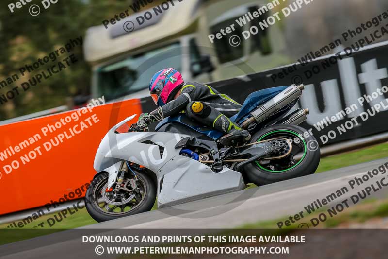 Oulton Park 17 Aug 2018;PJ Motorsport Photography 2018;anglesey;brands hatch;cadwell park;croft;donington park;enduro digital images;event digital images;eventdigitalimages;mallory;no limits;oulton park;peter wileman photography;racing digital images;silverstone;snetterton;trackday digital images;trackday photos;vmcc banbury run;welsh 2 day enduro