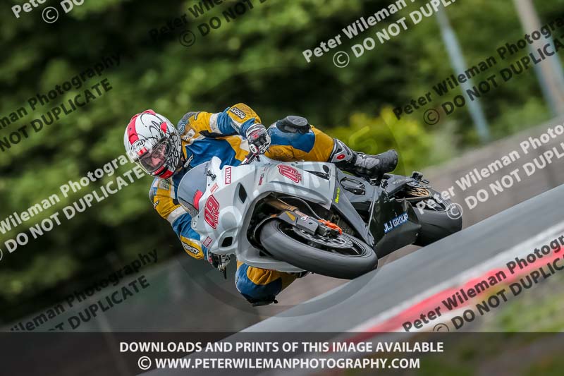 Oulton Park 17 Aug 2018;PJ Motorsport Photography 2018;anglesey;brands hatch;cadwell park;croft;donington park;enduro digital images;event digital images;eventdigitalimages;mallory;no limits;oulton park;peter wileman photography;racing digital images;silverstone;snetterton;trackday digital images;trackday photos;vmcc banbury run;welsh 2 day enduro