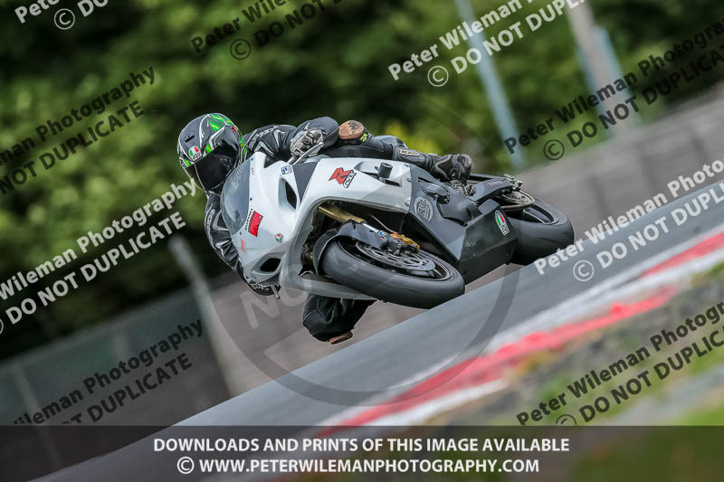 Oulton Park 17 Aug 2018;PJ Motorsport Photography 2018;anglesey;brands hatch;cadwell park;croft;donington park;enduro digital images;event digital images;eventdigitalimages;mallory;no limits;oulton park;peter wileman photography;racing digital images;silverstone;snetterton;trackday digital images;trackday photos;vmcc banbury run;welsh 2 day enduro