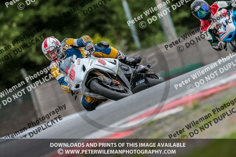 Oulton Park 17 Aug 2018;PJ Motorsport Photography 2018;anglesey;brands hatch;cadwell park;croft;donington park;enduro digital images;event digital images;eventdigitalimages;mallory;no limits;oulton park;peter wileman photography;racing digital images;silverstone;snetterton;trackday digital images;trackday photos;vmcc banbury run;welsh 2 day enduro