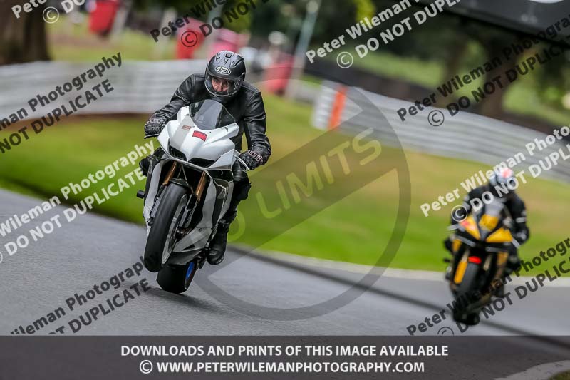 Oulton Park 17 Aug 2018;PJ Motorsport Photography 2018;anglesey;brands hatch;cadwell park;croft;donington park;enduro digital images;event digital images;eventdigitalimages;mallory;no limits;oulton park;peter wileman photography;racing digital images;silverstone;snetterton;trackday digital images;trackday photos;vmcc banbury run;welsh 2 day enduro