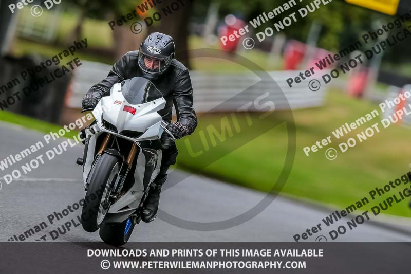 Oulton Park 17 Aug 2018;PJ Motorsport Photography 2018;anglesey;brands hatch;cadwell park;croft;donington park;enduro digital images;event digital images;eventdigitalimages;mallory;no limits;oulton park;peter wileman photography;racing digital images;silverstone;snetterton;trackday digital images;trackday photos;vmcc banbury run;welsh 2 day enduro