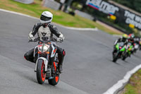 Oulton-Park-17-Aug-2018;PJ-Motorsport-Photography-2018;anglesey;brands-hatch;cadwell-park;croft;donington-park;enduro-digital-images;event-digital-images;eventdigitalimages;mallory;no-limits;oulton-park;peter-wileman-photography;racing-digital-images;silverstone;snetterton;trackday-digital-images;trackday-photos;vmcc-banbury-run;welsh-2-day-enduro