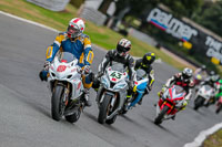 Oulton-Park-17-Aug-2018;PJ-Motorsport-Photography-2018;anglesey;brands-hatch;cadwell-park;croft;donington-park;enduro-digital-images;event-digital-images;eventdigitalimages;mallory;no-limits;oulton-park;peter-wileman-photography;racing-digital-images;silverstone;snetterton;trackday-digital-images;trackday-photos;vmcc-banbury-run;welsh-2-day-enduro