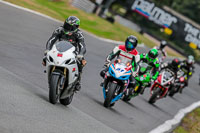 Oulton-Park-17-Aug-2018;PJ-Motorsport-Photography-2018;anglesey;brands-hatch;cadwell-park;croft;donington-park;enduro-digital-images;event-digital-images;eventdigitalimages;mallory;no-limits;oulton-park;peter-wileman-photography;racing-digital-images;silverstone;snetterton;trackday-digital-images;trackday-photos;vmcc-banbury-run;welsh-2-day-enduro