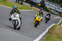 Oulton-Park-17-Aug-2018;PJ-Motorsport-Photography-2018;anglesey;brands-hatch;cadwell-park;croft;donington-park;enduro-digital-images;event-digital-images;eventdigitalimages;mallory;no-limits;oulton-park;peter-wileman-photography;racing-digital-images;silverstone;snetterton;trackday-digital-images;trackday-photos;vmcc-banbury-run;welsh-2-day-enduro