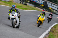 Oulton-Park-17-Aug-2018;PJ-Motorsport-Photography-2018;anglesey;brands-hatch;cadwell-park;croft;donington-park;enduro-digital-images;event-digital-images;eventdigitalimages;mallory;no-limits;oulton-park;peter-wileman-photography;racing-digital-images;silverstone;snetterton;trackday-digital-images;trackday-photos;vmcc-banbury-run;welsh-2-day-enduro