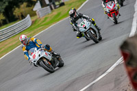 Oulton-Park-17-Aug-2018;PJ-Motorsport-Photography-2018;anglesey;brands-hatch;cadwell-park;croft;donington-park;enduro-digital-images;event-digital-images;eventdigitalimages;mallory;no-limits;oulton-park;peter-wileman-photography;racing-digital-images;silverstone;snetterton;trackday-digital-images;trackday-photos;vmcc-banbury-run;welsh-2-day-enduro