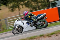 Oulton-Park-17-Aug-2018;PJ-Motorsport-Photography-2018;anglesey;brands-hatch;cadwell-park;croft;donington-park;enduro-digital-images;event-digital-images;eventdigitalimages;mallory;no-limits;oulton-park;peter-wileman-photography;racing-digital-images;silverstone;snetterton;trackday-digital-images;trackday-photos;vmcc-banbury-run;welsh-2-day-enduro