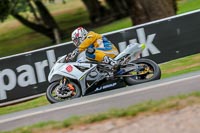 Oulton-Park-17-Aug-2018;PJ-Motorsport-Photography-2018;anglesey;brands-hatch;cadwell-park;croft;donington-park;enduro-digital-images;event-digital-images;eventdigitalimages;mallory;no-limits;oulton-park;peter-wileman-photography;racing-digital-images;silverstone;snetterton;trackday-digital-images;trackday-photos;vmcc-banbury-run;welsh-2-day-enduro