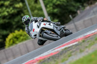 Oulton-Park-17-Aug-2018;PJ-Motorsport-Photography-2018;anglesey;brands-hatch;cadwell-park;croft;donington-park;enduro-digital-images;event-digital-images;eventdigitalimages;mallory;no-limits;oulton-park;peter-wileman-photography;racing-digital-images;silverstone;snetterton;trackday-digital-images;trackday-photos;vmcc-banbury-run;welsh-2-day-enduro