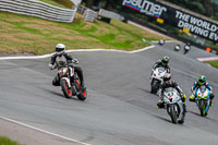 Oulton-Park-17-Aug-2018;PJ-Motorsport-Photography-2018;anglesey;brands-hatch;cadwell-park;croft;donington-park;enduro-digital-images;event-digital-images;eventdigitalimages;mallory;no-limits;oulton-park;peter-wileman-photography;racing-digital-images;silverstone;snetterton;trackday-digital-images;trackday-photos;vmcc-banbury-run;welsh-2-day-enduro
