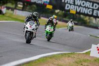 Oulton-Park-17-Aug-2018;PJ-Motorsport-Photography-2018;anglesey;brands-hatch;cadwell-park;croft;donington-park;enduro-digital-images;event-digital-images;eventdigitalimages;mallory;no-limits;oulton-park;peter-wileman-photography;racing-digital-images;silverstone;snetterton;trackday-digital-images;trackday-photos;vmcc-banbury-run;welsh-2-day-enduro