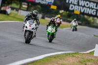 Oulton-Park-17-Aug-2018;PJ-Motorsport-Photography-2018;anglesey;brands-hatch;cadwell-park;croft;donington-park;enduro-digital-images;event-digital-images;eventdigitalimages;mallory;no-limits;oulton-park;peter-wileman-photography;racing-digital-images;silverstone;snetterton;trackday-digital-images;trackday-photos;vmcc-banbury-run;welsh-2-day-enduro