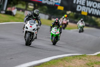 Oulton-Park-17-Aug-2018;PJ-Motorsport-Photography-2018;anglesey;brands-hatch;cadwell-park;croft;donington-park;enduro-digital-images;event-digital-images;eventdigitalimages;mallory;no-limits;oulton-park;peter-wileman-photography;racing-digital-images;silverstone;snetterton;trackday-digital-images;trackday-photos;vmcc-banbury-run;welsh-2-day-enduro