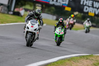 Oulton-Park-17-Aug-2018;PJ-Motorsport-Photography-2018;anglesey;brands-hatch;cadwell-park;croft;donington-park;enduro-digital-images;event-digital-images;eventdigitalimages;mallory;no-limits;oulton-park;peter-wileman-photography;racing-digital-images;silverstone;snetterton;trackday-digital-images;trackday-photos;vmcc-banbury-run;welsh-2-day-enduro