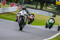 Oulton-Park-17-Aug-2018;PJ-Motorsport-Photography-2018;anglesey;brands-hatch;cadwell-park;croft;donington-park;enduro-digital-images;event-digital-images;eventdigitalimages;mallory;no-limits;oulton-park;peter-wileman-photography;racing-digital-images;silverstone;snetterton;trackday-digital-images;trackday-photos;vmcc-banbury-run;welsh-2-day-enduro