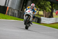 Oulton-Park-17-Aug-2018;PJ-Motorsport-Photography-2018;anglesey;brands-hatch;cadwell-park;croft;donington-park;enduro-digital-images;event-digital-images;eventdigitalimages;mallory;no-limits;oulton-park;peter-wileman-photography;racing-digital-images;silverstone;snetterton;trackday-digital-images;trackday-photos;vmcc-banbury-run;welsh-2-day-enduro